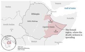 مرض جديد غامض عيون صفراء ونزيف من الأنف والفم..ثم وفاة!