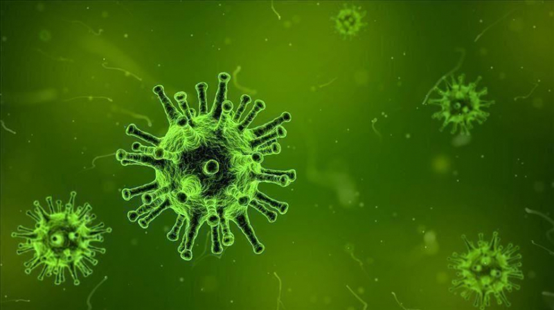 الفخفاخ هذا الأسبوع ذروة انتشار فيروس كورونا