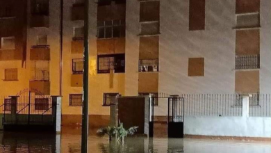 فيضانات عارمة في الجزائر والمياه تغمر المنازل في وهران وتلمسان