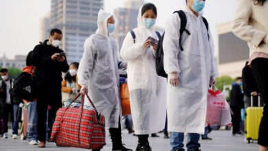 عالم فيروسات صيني كورونا المكتشف حديثا في بكين أكثر عدوى من فيروس ووهان