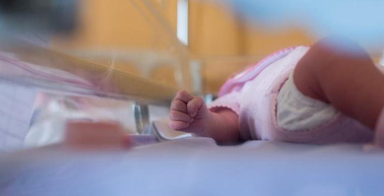 مستشفى وسيلة بورقيبة اختطاف رضيع سويعات بعد ولادته