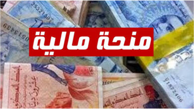 وزير الشؤون الإجتماعية منحة بـ300 دينار لفائدة هذه الفئات بداية من هذا التاريخ