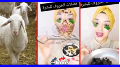 تونسية تنصح النساء “بفضلات” الخرفان لتصفية البشرة..(فيديو)