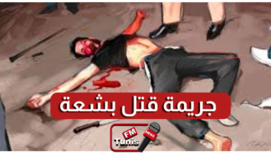 جريمة بشعة في مصر مضطرب نفسيا يقتل 3 من أقاربه ويحاول قتل والدته