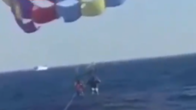 فيديو سمكة قرش تستقبل مظليا اردنيا عند هبوطه في البحر
